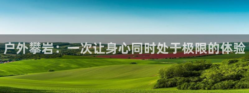新宝gg博客