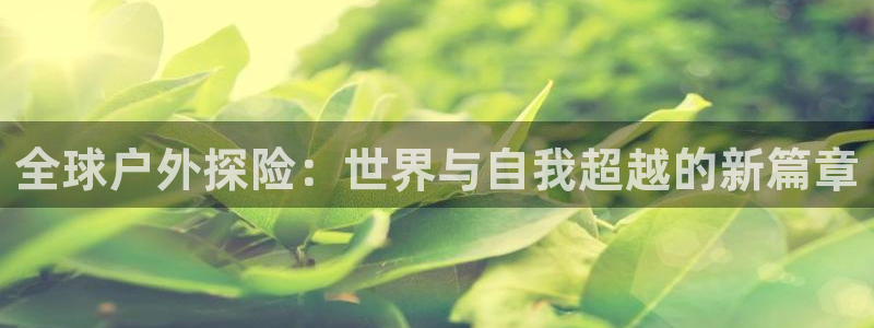 新宝gg类似