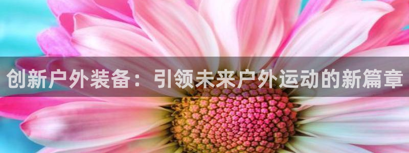 新宝gg老板64491