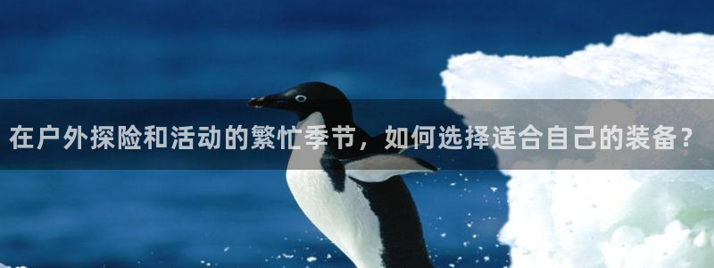 关于新宝GG