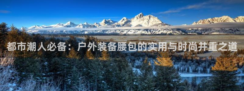 新宝gg主管都是谁