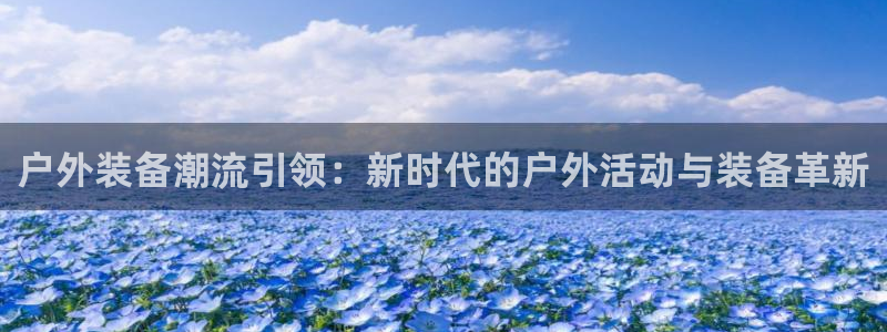 新宝gg介绍