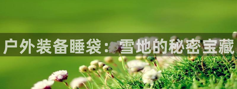 新宝gg首页平台