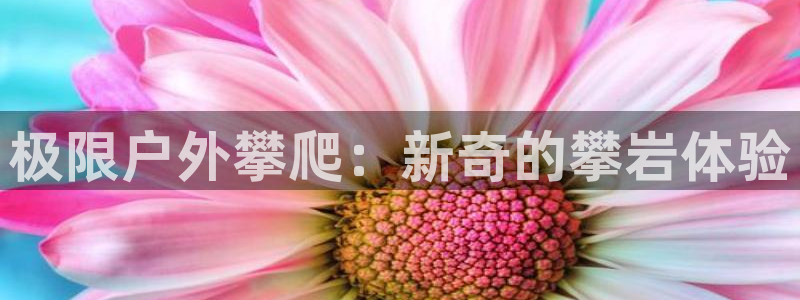 新宝gg主管_