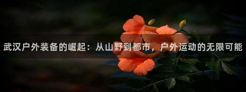 新宝gg主管_