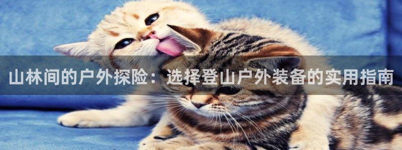 新宝gg主管都是谁