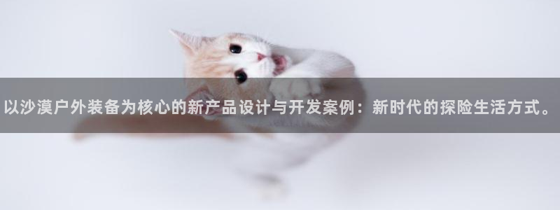 新宝gg 创