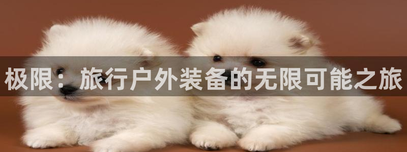 新宝奇迹GG5