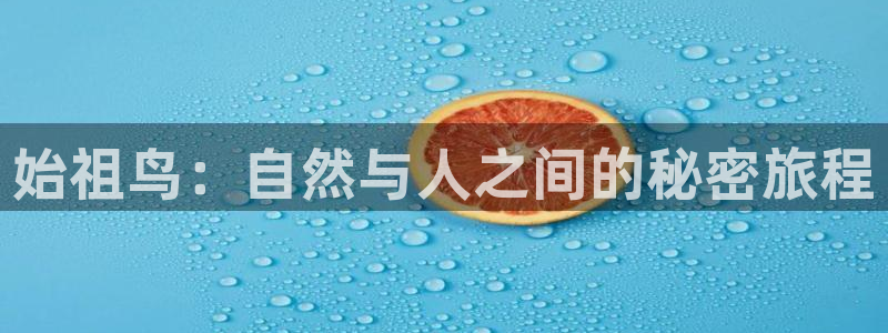 www.新宝gg