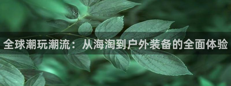新宝g新宝gg