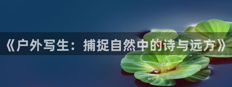 新宝gg用哪个浏览器
