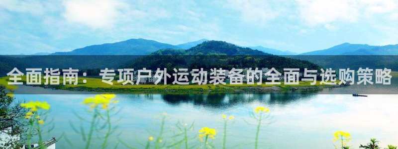 新宝gg手机登录官网