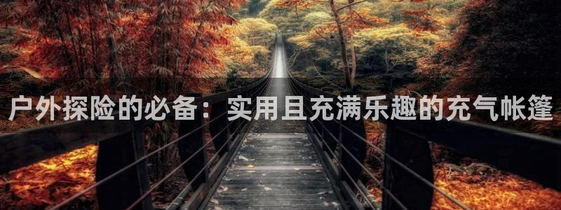 新宝gg返点1956是多少
