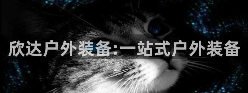 新宝GG冰冰