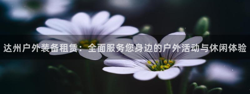 新宝gg cqdellar