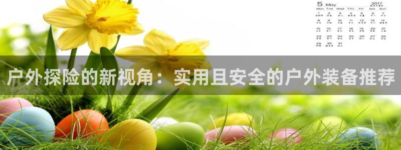 新宝gg手机登录官网