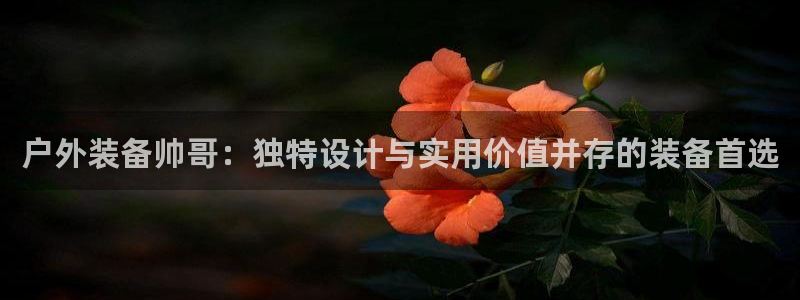 新宝皇冠gg