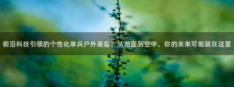 谁有新宝GG