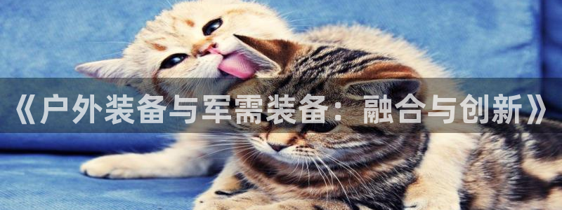 新宝gg 开户
