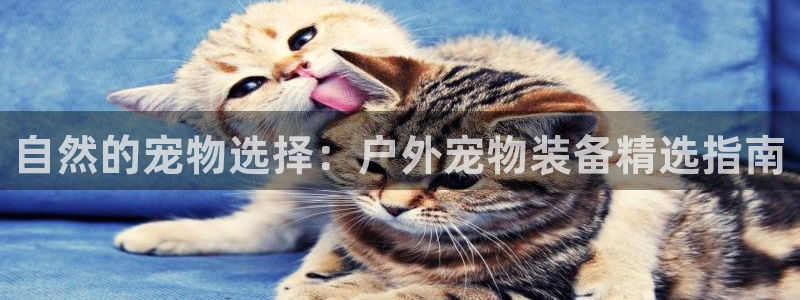 新宝gg资料
