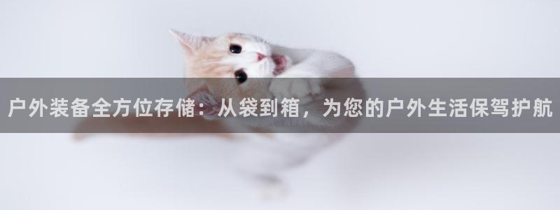 认准新宝gg
