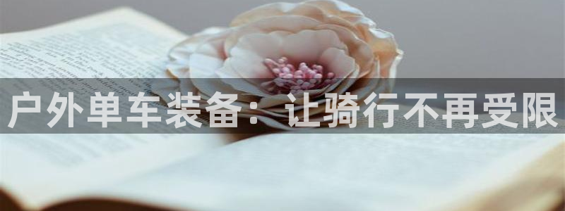 关于新宝GG
