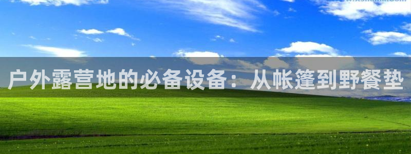 新宝gg成立