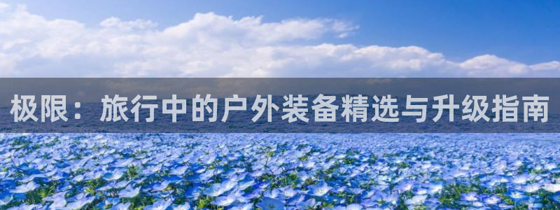 x新宝gg