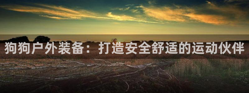 新宝gg如何做到总代理
