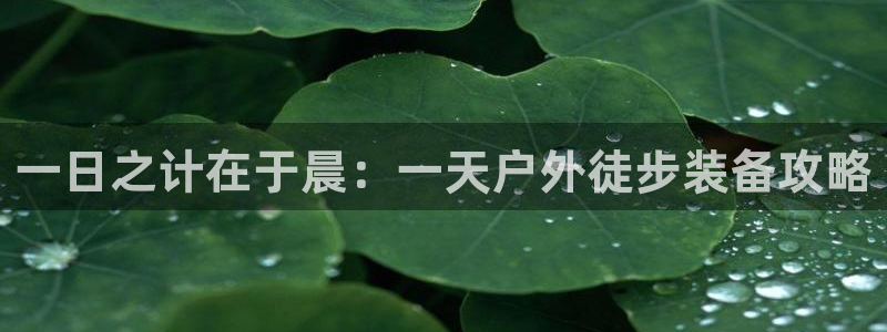 新宝gg注