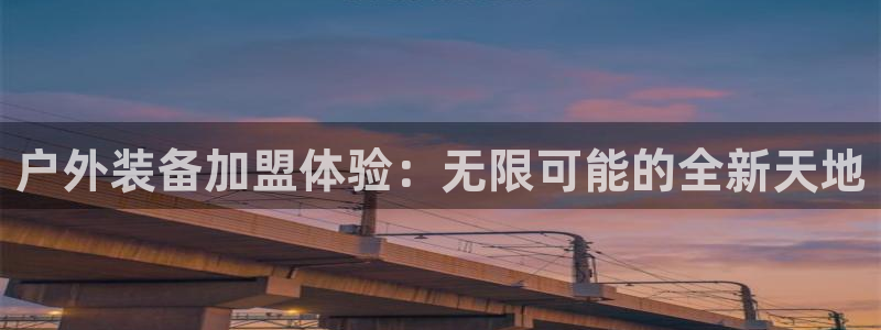 vip新宝gg