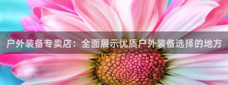 新宝gg 金苹果