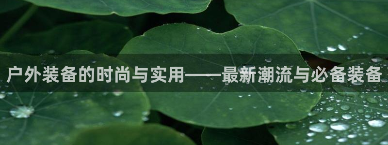 新宝gg有规律么