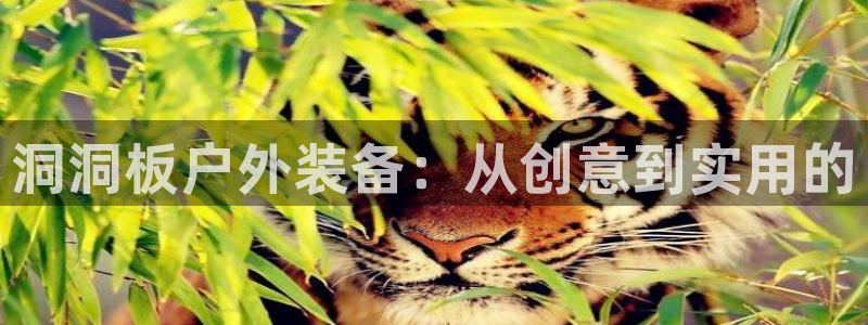 新宝gg软件下载