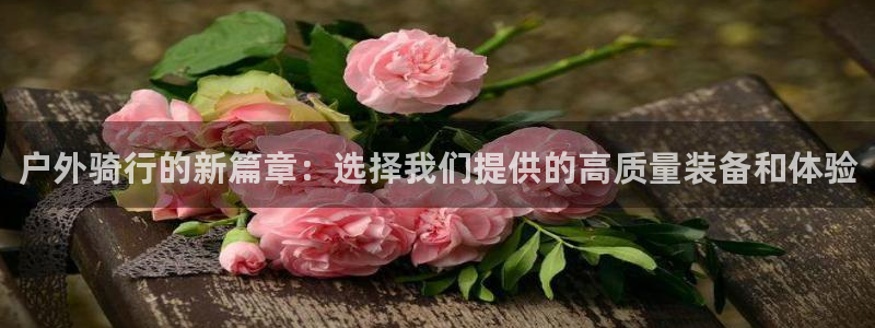 新宝gg会员