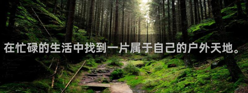 新宝哈哈gg