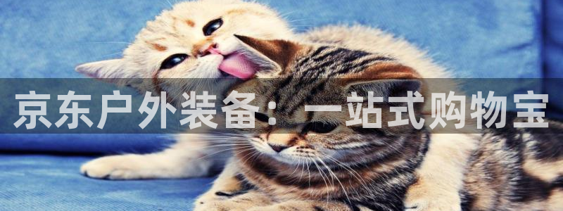 新浪新闻新宝gg