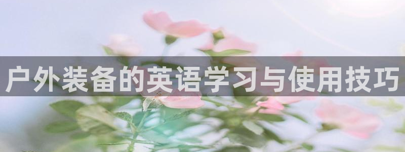 新宝gg网