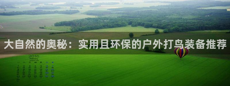 新宝gg开户