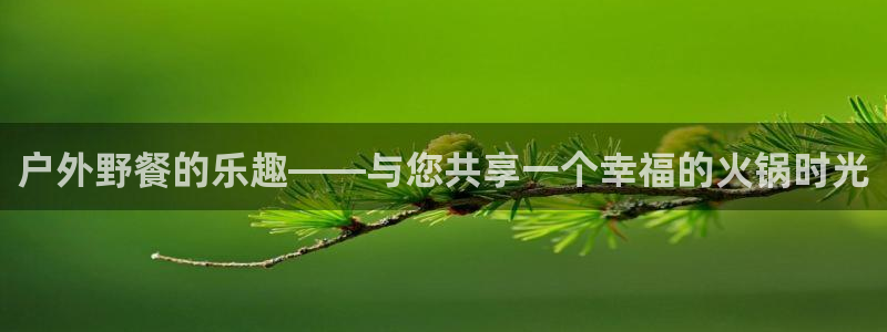 新宝gg入口网址