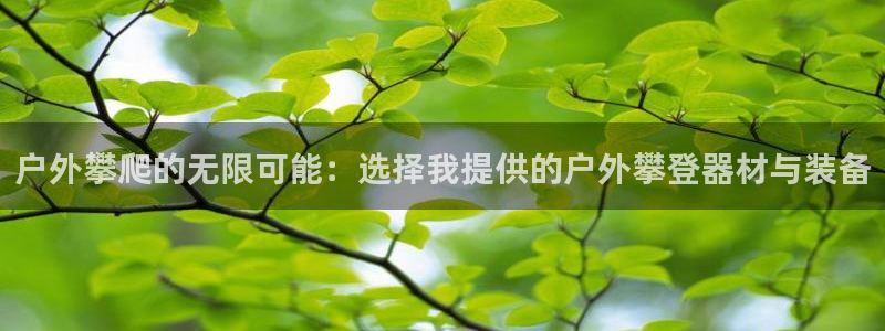 新宝gg龙腾