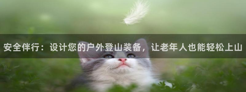 新宝gg招商