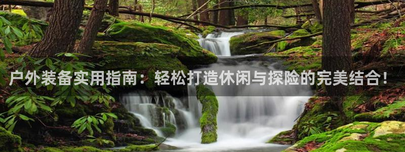 新宝gg主管开
