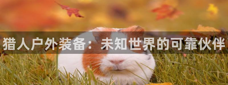 新宝gg cqdellar