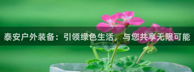 新宝gg招商致胜团队