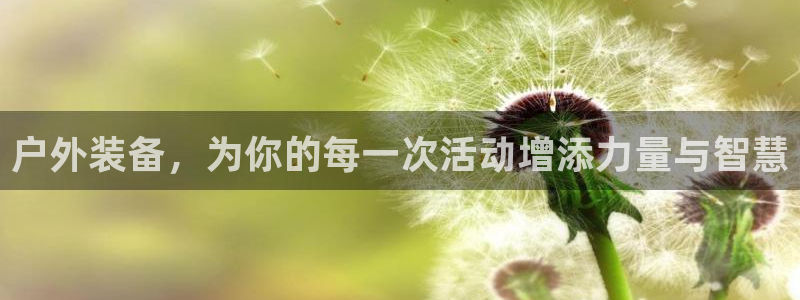 新宝gg如何