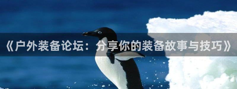新宝gg主管都是谁