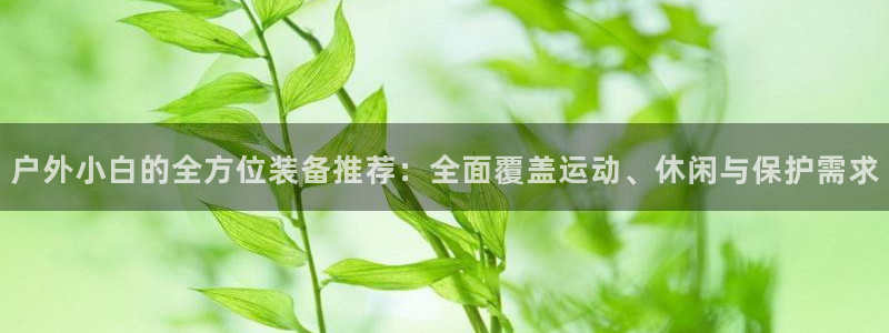 行新宝gg