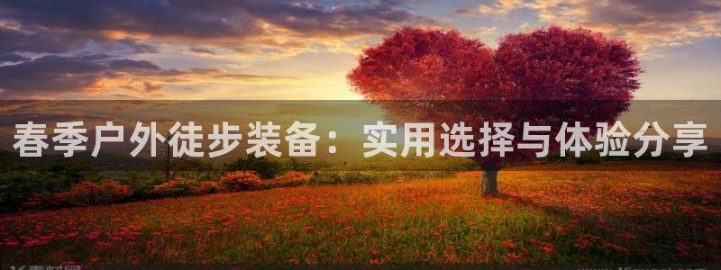 新宝gg辅助