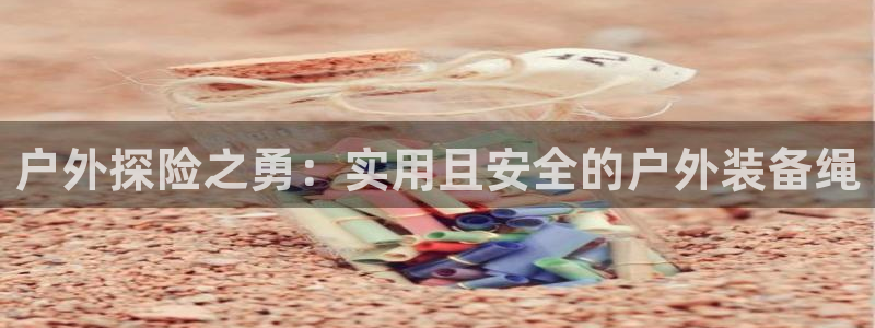 新宝gg属于
